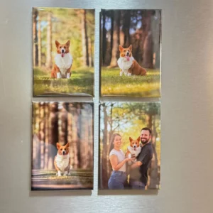 Imanes rectangulares