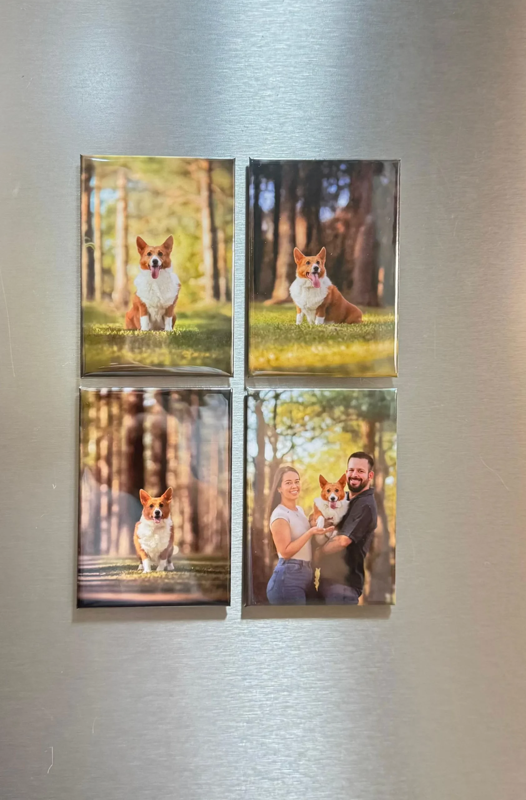 Imanes rectangulares